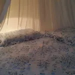 Panzió Albisola Albisola Superiore